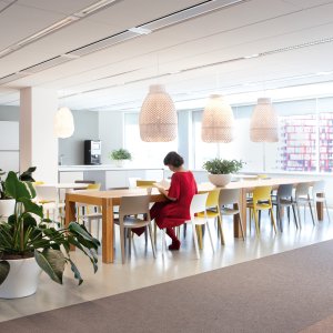 Cadeiras de design da Arper: a coleção Juno 02