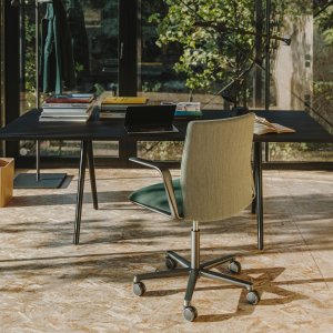 Limpeza da casca da Kinesit com pano macio