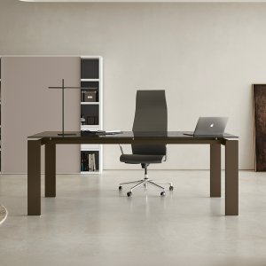 Secretária de direção GO num gabinete