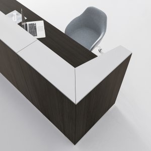 Tampo de acolhimento em terra de sombra num balcão Qubo, DVO Office