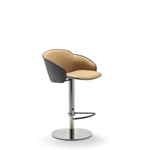 Aplicações em pele nas costas do Electa