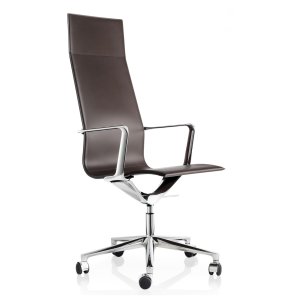 Kuna Chair da ICF Office num gabinete de direção