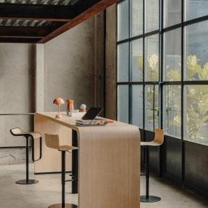 Assento em laminado Fenix do LEM