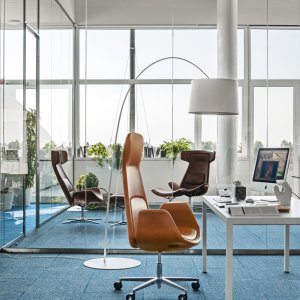 Nordic bicolor com cascas contrastantes