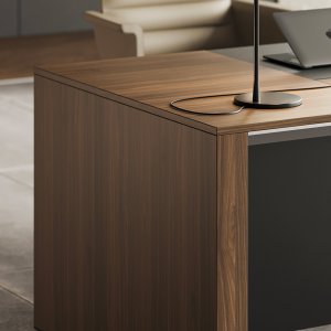 Painel de modéstia estrutural em ecopele em Ono Panel