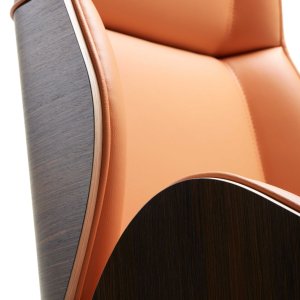 Poltrona Suoni num gabinete de direção